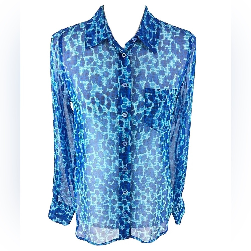 Blue, sheer EQUIPMENT blouse